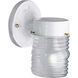 Utility Lantern Outdoor Wall Lantern in White