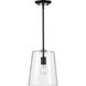 Clarion 1 Light Matte Black Pendant Ceiling Light, Small