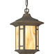 Arts and Crafts 1 Light 10 inch Weathered Bronze Outdoor Hanging Lantern