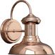 Brookside 1 Light 10 inch Cognac Outdoor Wall Lantern in Copper, Small