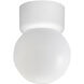 Acrylic Globe 1 Light 6 inch White Outdoor Ceiling Mount
