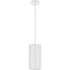CYL RNDS 1 Light 6 inch White Outdoor Pendant