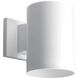 Cylinder Outdoor Wall Cylinder in White, LED Lamping, Progress LED