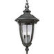 Meridian 3 Light 12 inch Textured Black Outdoor Hanging Lantern