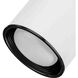 Directional 2 Light 9 inch White Multi Directional Wall/Ceiling Light