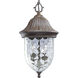 Coventry 2 Light 9.75 inch Fieldstone Outdoor Hanging Lantern