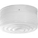 White Glass 2 Light 11 inch White Close-to-Ceiling Ceiling Light