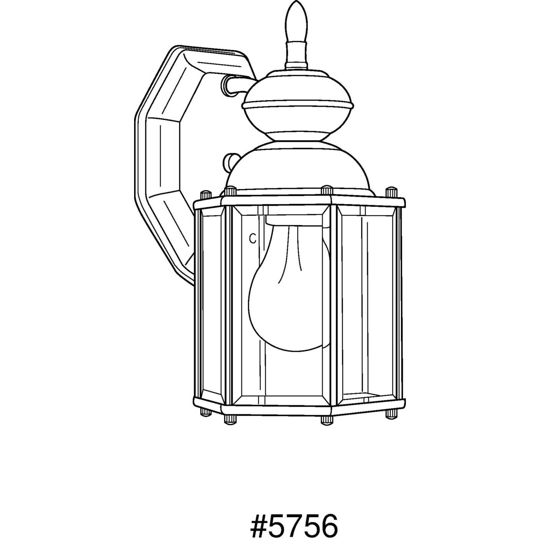 BrassGUARD Outdoor Wall Lantern in Black