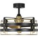 Sewell 24 inch Matte Black with Brushed Brass Blades Ceiling Fan