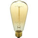 Lamps Incandescent ST64 Edison E26 40 watt 120 Antique Bulb