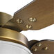 Tempt 52 inch Vintage Brass with Chestnut/Dark Cherry Blades Ceiling Fan, Progress LED