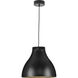 Radian LED LED 16 inch Matte Black Pendant Ceiling Light, Progress LED