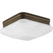 Appeal 2 Light 9 inch Antique Bronze Flush Mount Ceiling Light