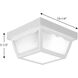 Ceiling Mount 2 Light 10.25 inch White Outdoor Flush Mount