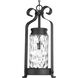 Hermosa 1 Light 12 inch Textured Black Outdoor Hanging Lantern, Design Series