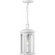 Gables 1 Light 8 inch Satin White Outdoor Hanging Lantern