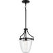 Parkhurst 1 Light 12 inch Matte Black Mini Pendant Ceiling Light