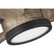 Farris 60 inch Graphite with Driftwood Blades Ceiling Fan, Progress LED