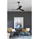 Ryne 52 inch Black Outdoor Ceiling Fan, Progress LED