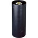 Landscape Low Volt 50 watt Black Landscape Well Light
