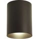Cylinder 1 Light 5 inch Antique Bronze Outdoor Ceiling Mount Cylinder in Standard
