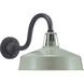 Cedar Springs 1 Light 11 inch Pistachio Outdoor Wall Lantern, Extra Large