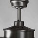 Whirl 60 inch Antique Nickel with Driftwood Blades Ceiling Fan, Progress LED