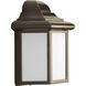 Millford 1 Light 9 inch Antique Bronze Outdoor Wall Lantern
