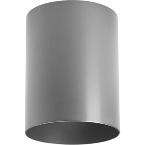 Cylinder 1 Light 5.00 inch Outdoor Ceiling Light