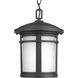 Wish LED 9 inch Black Outdoor Hanging Lantern