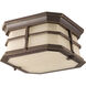 Derby LED 10 inch Antique Bronze Flush Mount Ceiling Light
