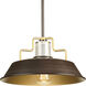 Archives 1 Light 14 inch Antique Bronze Pendant Ceiling Light