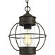 Haddon 1 Light 10 inch Antique Bronze Outdoor Hanging Lantern