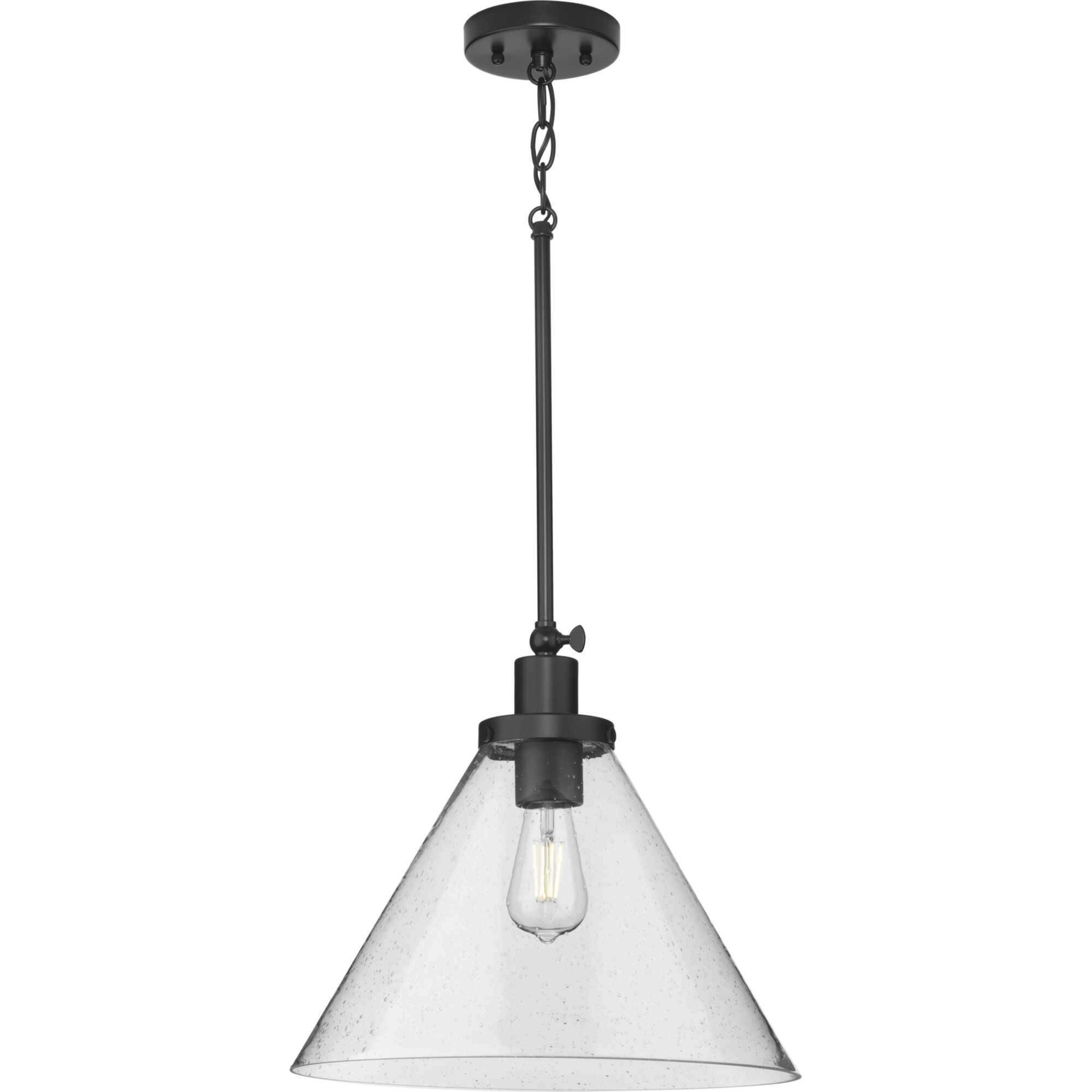 Hinton 1 Light 16 inch Matte Black Pendant Ceiling Light