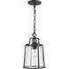 Benton Harbor 1 Light 9 inch Textured Black Outdoor Hanging Lantern, with DURASHIELD