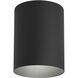 Cylinder 1 Light 5 inch Black Outdoor Ceiling Mount Cylinder in Standard Lamping