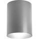 Cylinder LED 5 inch Metallic Gray Outdoor Flush Mount Cylinder in Metallic Grey, LED Lamping, Progress LED