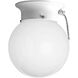 Glass Globes 1 Light 6 inch White Flush Mount Ceiling Light in Pull-Chain Switch