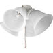 Universal 4 Light White Fan Light Kit in Alabaster Glass 