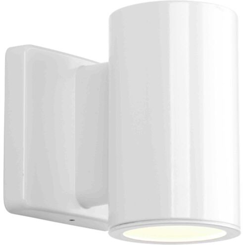 Cylinders Outdoor Wall Mount Downlight Cylinder in White, Progress LED