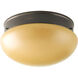 Fitter 2 Light 12 inch Antique Bronze Close-to-Ceiling Ceiling Light in Etched Light Topaz Glass