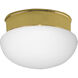 Fitter 1 Light 8 inch Polished Brass Close-to-Ceiling Ceiling Light in Bulbs Not Included