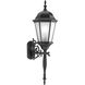 Welbourne 1 Light 31 inch Black Outdoor Wall Lantern in Etched, Fluorescent