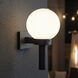 Acrylic Globe Outdoor Wall Lantern
