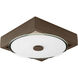 Frame LED 9 inch Architectural Bronze Wall Sconce Wall Light