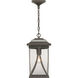 Abbott 1 Light 8 inch Antique Bronze Outdoor Hanging Lantern
