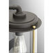 Laine 1 Light 10 inch Architectural Bronze Outdoor Hanging Lantern