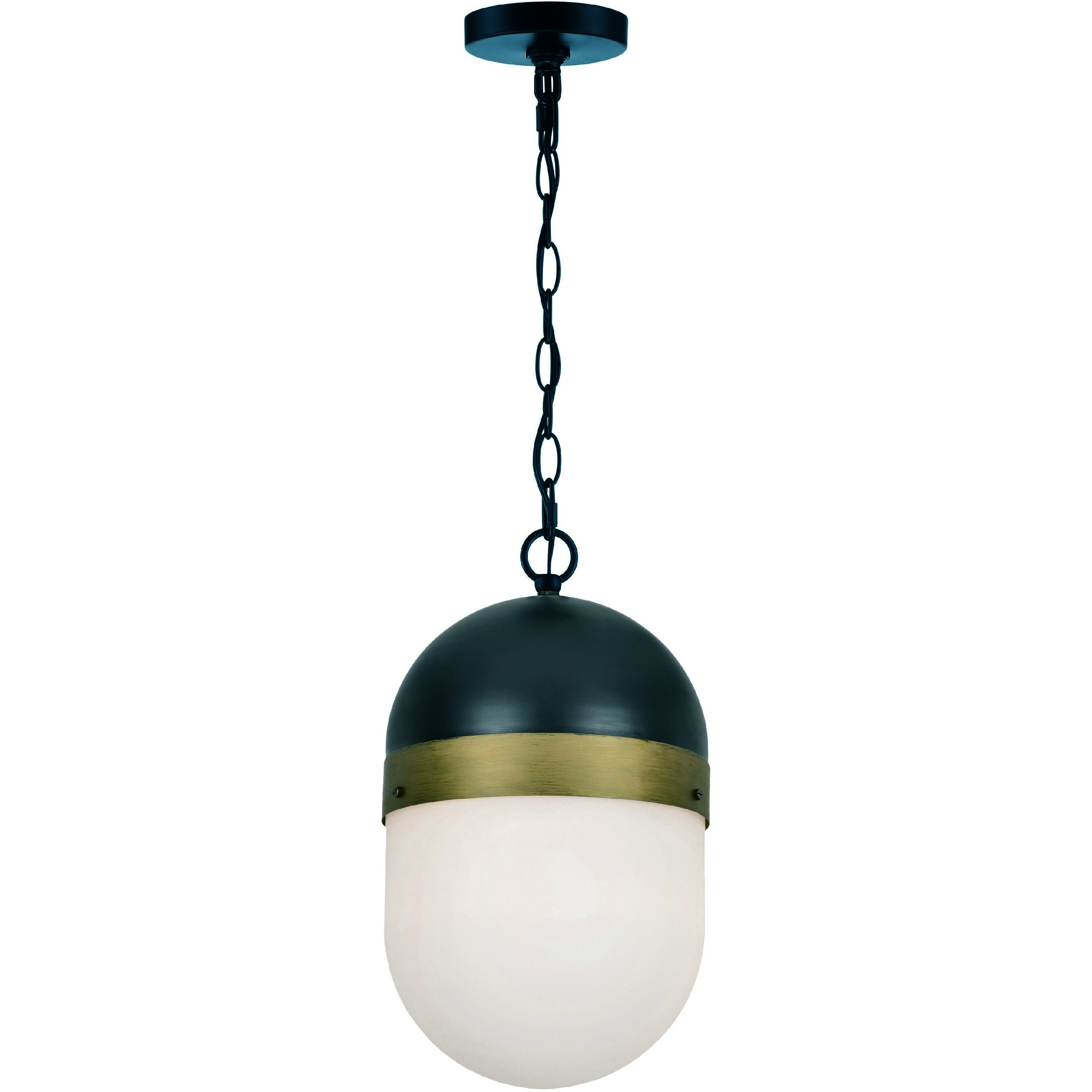 Capsule 1 Light 8 inch Matte Black/Textured Gold Outdoor Pendant