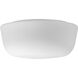 White Glass 2 Light 12 inch Black Close-to-Ceiling Ceiling Light