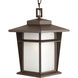 Loyal 1 Light 9 inch Antique Bronze Outdoor Hanging Lantern